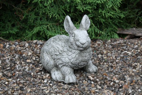 KA20 Snow Rabbit KA20 Snow Rabbit